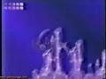 Ecco The Dolphin