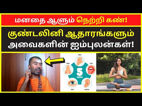 மனதை ஆளும் நெற்றி கண் | Tiruvannamalai OMGod Nagarajan Speech on All kundalini chakras 5 senses