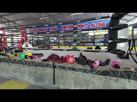 Eagle Muay Thai Phuket 🦅🇹🇭 | Tour of an Authentic Muay Thai Gym in Thailand
