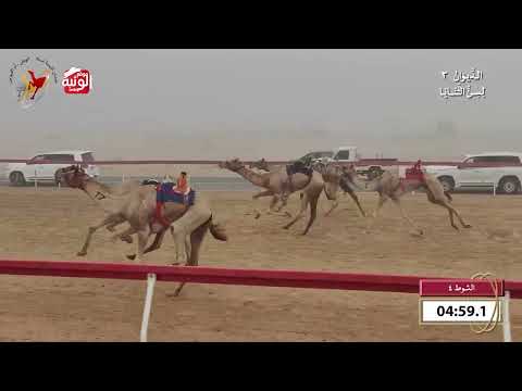 ش 4 (ناير) لـ عبدالله راشد سالم الشاوي الغفلي 9:54 , شارة الديوان 3 2026/10/07 ثنايا اللبسه    