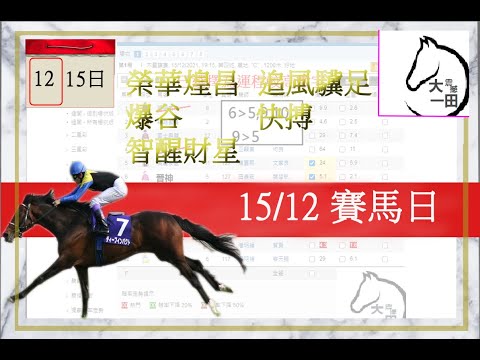 賽馬貼士 15/12/2021 【唔要#巴度 邊隻馬, 去我FB專頁睇】【#榮華煌昌 #爆谷 #智醒財星 #追風驥足 #快搏 】運程預測賽馬 #賽馬預測