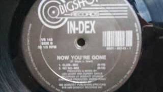 In-Dex Now you're gone (No No - Mix)