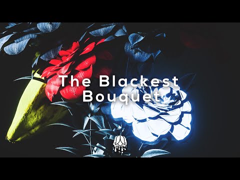 Leonell Cassio - The Blackest Bouquet 🌻 [Royalty Free/Free To Use]