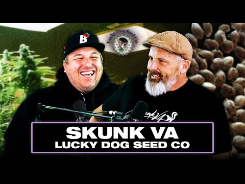 Skunk VA: The Hunt for Chemdog, A Seed that Changed Everything