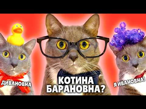 ЕСЛИ БЫ КОТИКИ ХОДИЛИ В ШКОЛУ - ЛУЧШИЕ НОВЫЕ СЕРИИ