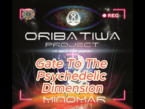 Minomar - Gate To The Psychedelic Dimension #goatrance #psychedelictrance #electronicmusic #minomar