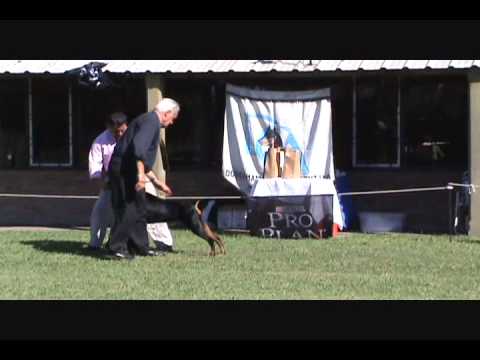 DCA 393, March 2010 Part 2 Bitches