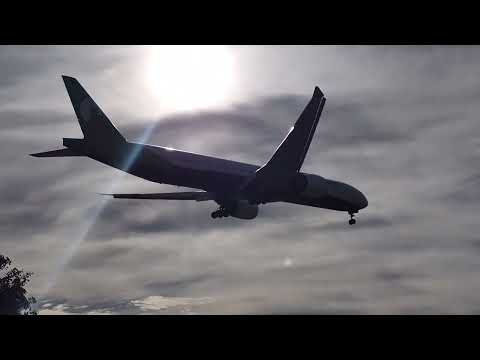 LAX Plane Spotting - 12-26-2022