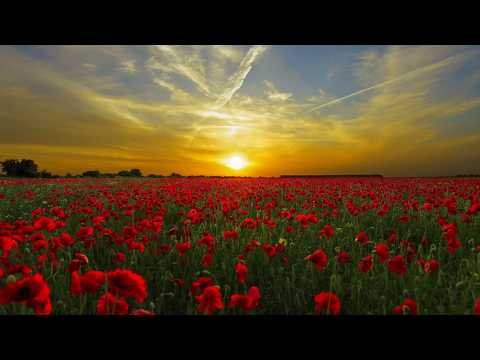 download lagu mp3 mp4 New Sun Rising, download mp3 New Sun Rising free download mp3, download mp3 New Sun Rising