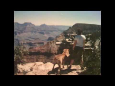 Nasir (from the Dog Whisperer)