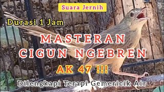 Download lagu Masteran Cigun Gacor Ngebren Rapat AK47 dan Terapi Air #cigun #cigungacor #cigunngebren #kicaumania mp3 Download lagu Masteran Cigun Gacor Ngebren Rapat AK47 dan Terapi Air #cigun #cigungacor #cigunngebren #kicaumania mp3