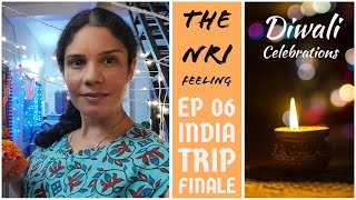 When Non-Resident Indians (NRI) go back to India | India Trip 2021 | Ep 6 - The Finale