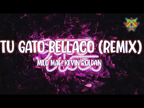 Milo Mae, Kevin Roldan - Tu Gato Bellaco (Remix) ( Letra/Lyrics )