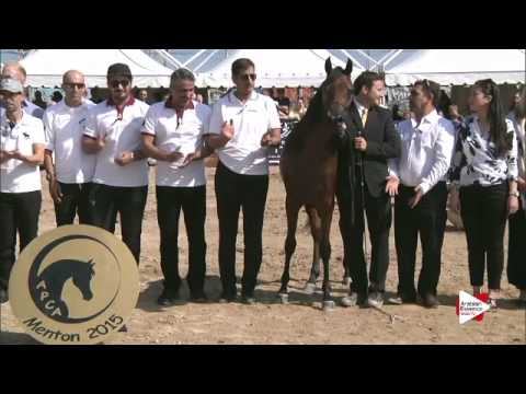 1st place N.23 SULTANAT AL SHAQAB - Menton 2015 - Yearling Fillies Championship (Class 11)