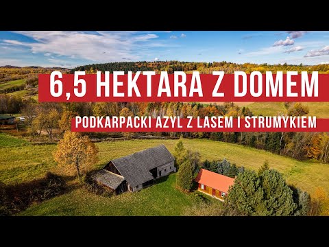 Działka bez sąsiadów! Ponad 6,5 ha z drewnianym domem i las: twój azyl, stadnina czy agroturystyka?