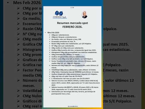 Resumen Mercado Spot Febrero 2026