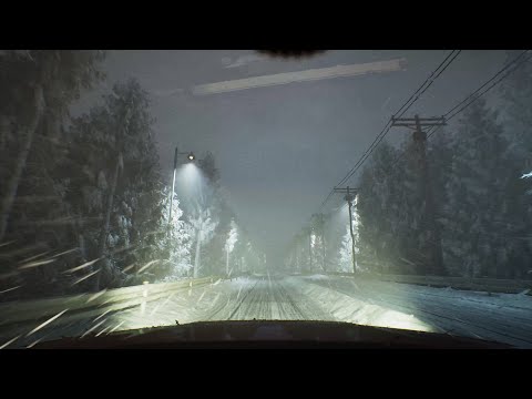 ASMR video of driving on a snowy night road