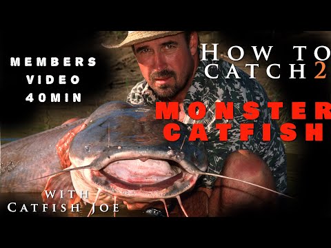 Everything you need to know. How to catch monster catfish in Africa.