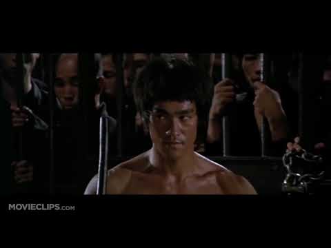 bruce lee f