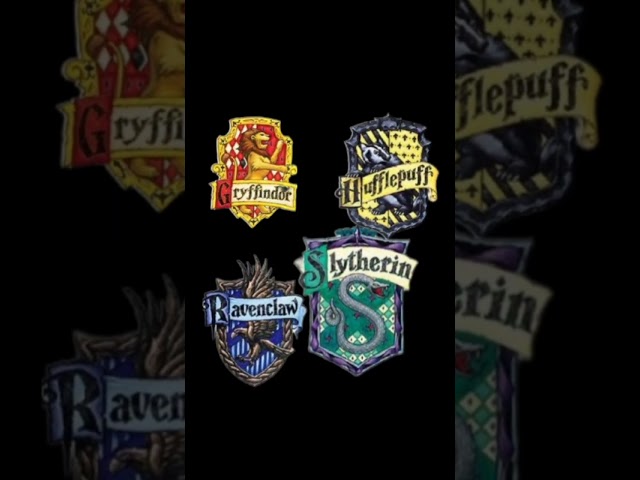Vídeo relacionado con Gryffindor Moneda Jumbo Edición Limitada: Harry Potter Hogwarts House Jumbo Coin, Gryffindor house, Edición Limitada Memorabilia