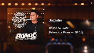 Sozinho Music Video