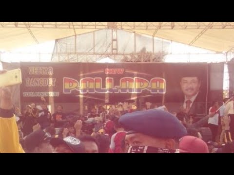 New Pallapa live Hari ini