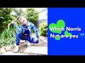 Which Norris Nut are you 💚💙