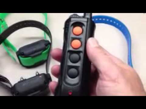 Dogtra EDGE RT Additional Receiver 1 Mile - Green Video