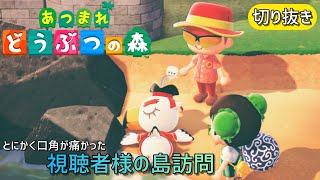 【配信切り抜き】視聴者様の島に行ったら、とんでもない事が起こったあつ森配信