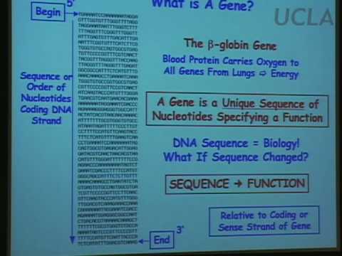 Genetic Engineering and Society V