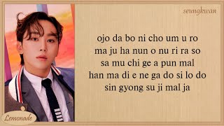 Download lagu SEVENTEEN Cheers To Youth Easy Lyrics mp3