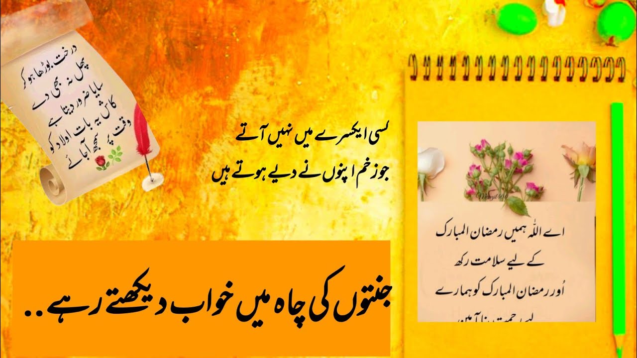 AQWAL E ZAREEN That Will Change Your Life Forever|Urdu aqwal zareen@Iqramindset