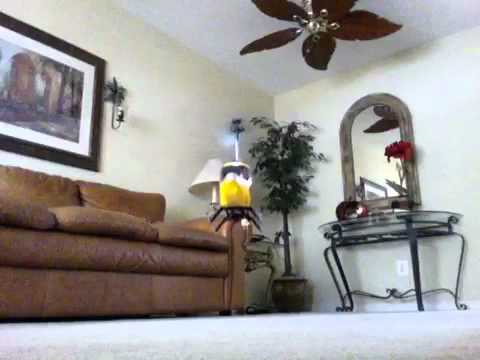 RC BIG HELICOPTER SYMA S033G TEST FLIGHT, LARGE ELECTRIC