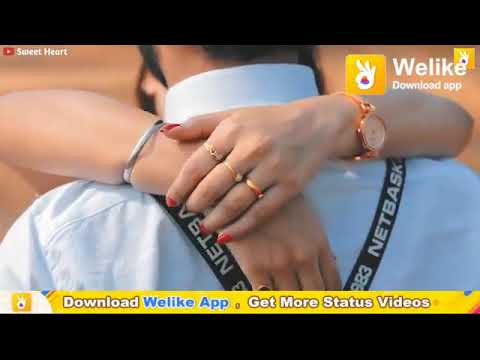 नारायण सालवी