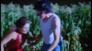 Richard Elfman's Scenes in Scarecrow - Hewitt