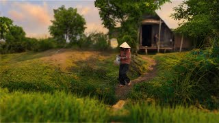 Harvesting Mussels & Snails Goes to Market Sell - Farm, Gardening, Cooking, Daily life