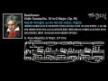 Beethoven: Violin Sonata No. 10 in G Major, Op. 96 - Ⅳ. Poco Allegretto