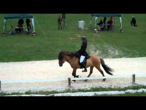 OSI Hirtenhof - Y.V1-Finale - www.isibless.de