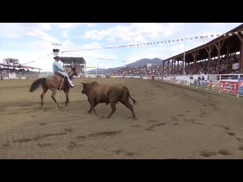 Q2 AOW: Parker Breding 'feeling his age' after Cowboy Christmas run