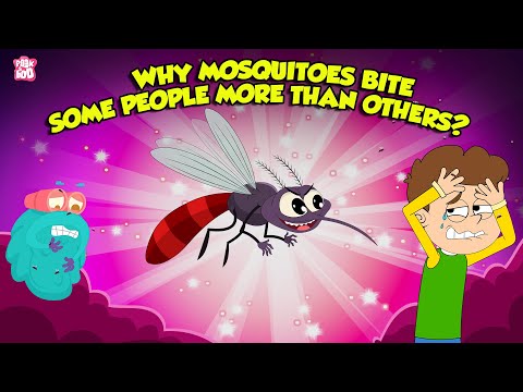 なぜある人は他の人よりも蚊に刺されやすいのでしょうか? |蚊の事実 |ドクター・ビノックス・ショー