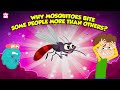 Why Mosquitoes Bite Some People More Than Others? | Mosquito Facts | The Dr. Binocs Show