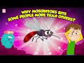 Why Mosquitoes Bite Some People More Than Others Mosquito Facts The Dr Binocs Show