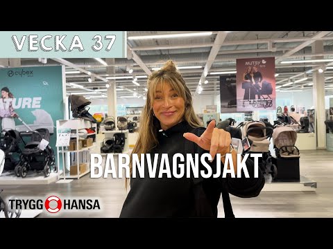 HITTAR RÄTT BARNVAGN – Pischa Strindstedt v37