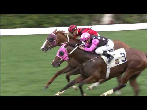 2017 QE II Cup Preview