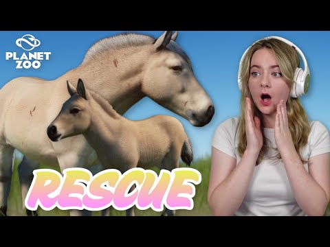 BUILDING OUR HORSE RESCUE - Planet Zoo | Pinehaven (AD)