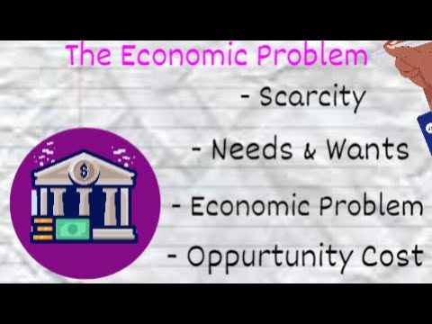 The Economic Problem | iGCSE Economics #1