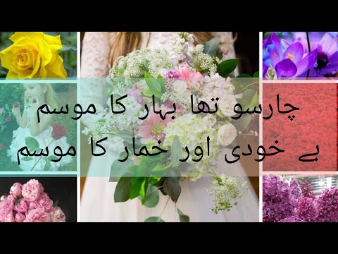 #ApnaPakistan, #Jashan.e.baharaan//