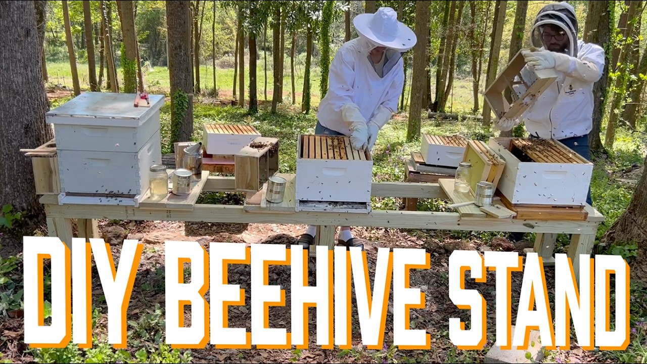 How To Build A Bee Hive Stand
