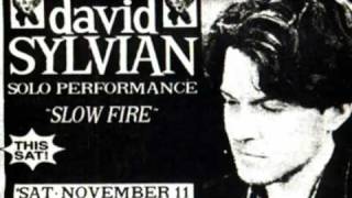 David Sylvian - Jean The Birdman - Live - NYC, 11/11/95
