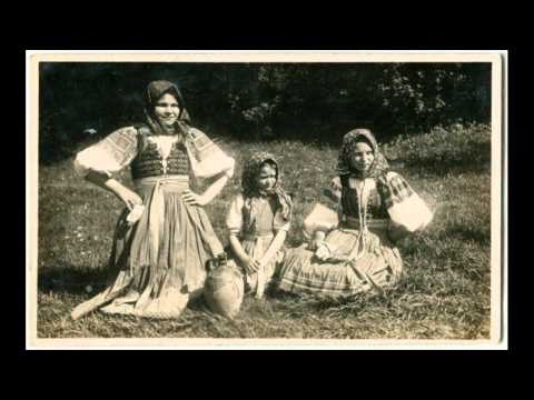 SĽUK - Štyri husi biele (Slovak Folk Song)